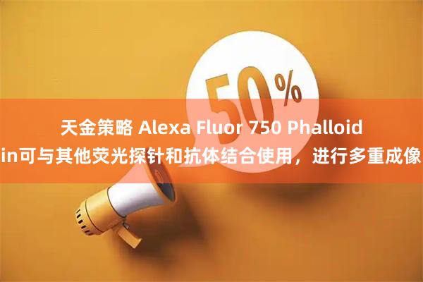 天金策略 Alexa Fluor 750 Phalloidin可与其他荧光探针和抗体结合使用，进行多重成像