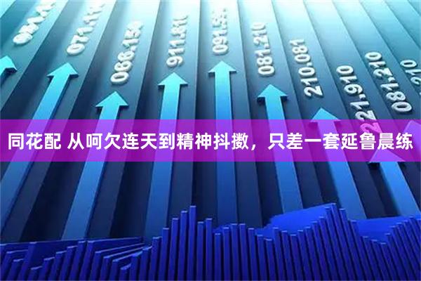 同花配 从呵欠连天到精神抖擞，只差一套延鲁晨练