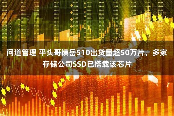 问道管理 平头哥镇岳510出货量超50万片，多家存储公司SSD已搭载该芯片