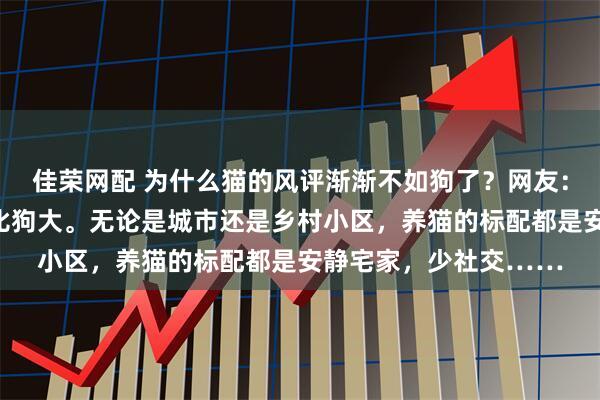 佳荣网配 为什么猫的风评渐渐不如狗了？网友：猫对生活习惯的要求比狗大。无论是城市还是乡村小区，养猫的标配都是安静宅家，少社交……