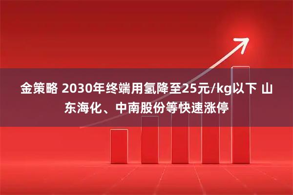 金策略 2030年终端用氢降至25元/kg以下 山东海化、中南股份等快速涨停